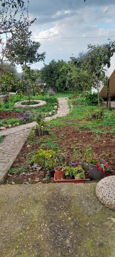 A Modern Farmhouse With Big Garden Trápeza Exteriér fotografie
