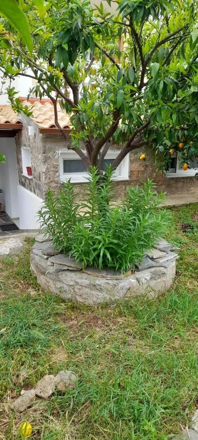 A Modern Farmhouse With Big Garden Trápeza Exteriér fotografie